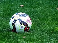 喀麦隆非洲,杯豪强阵容,揭晓,平博体育官网,APP下载,注册领彩金,官方网站,网站入口