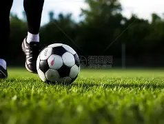 孔帕尼洞察,力惊人,安德莱赫特,平博体育官网,APP下载,注册领彩金,官方网站,网站入口