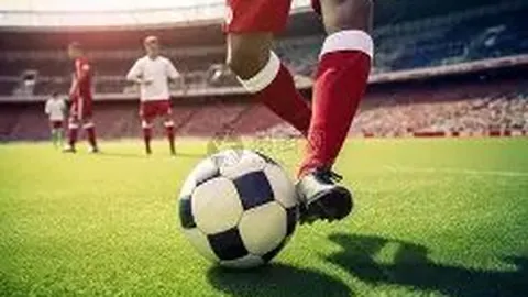 女子象棋甲组第二阶段落幕，京粤两队并肩领先