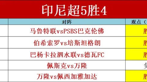 鲁梅尼格强调药厂热度飙升，拜仁将行动力证实力对抗质疑